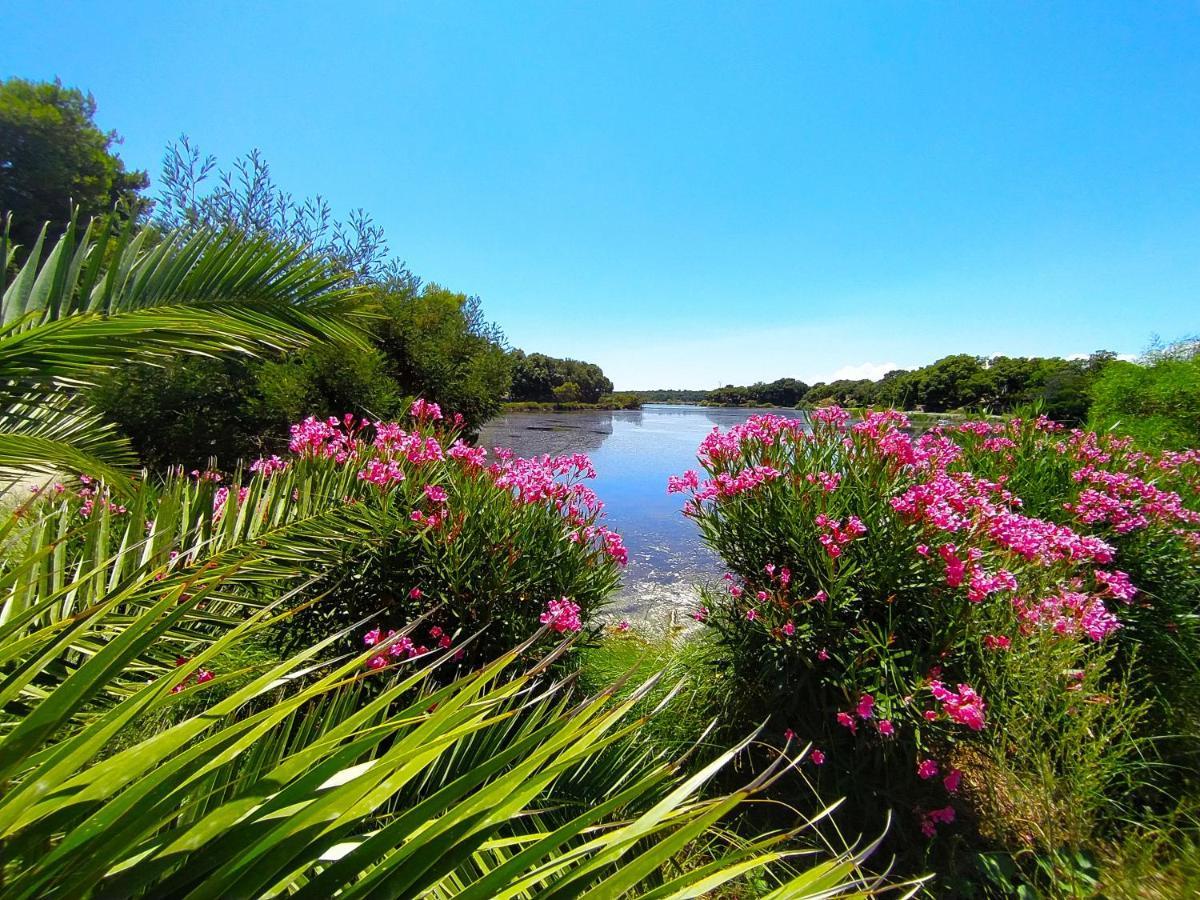 Camping Naturiste Riva Bella 4* Linguizzetta Extérieur photo